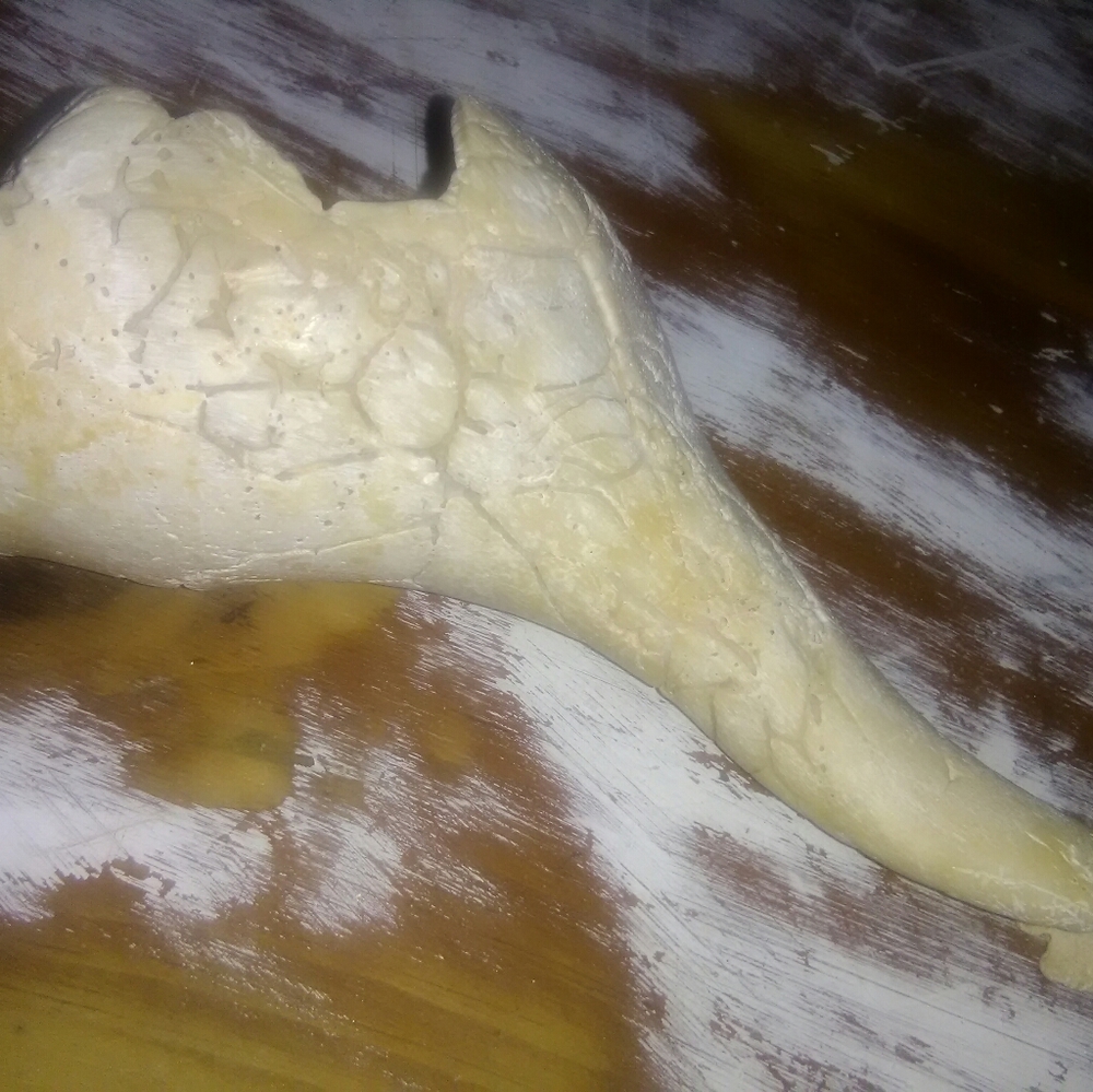 Sea Shell - Picture 2 of 8